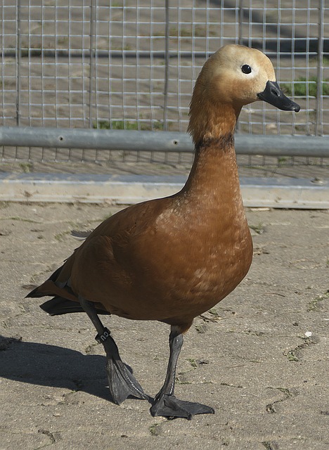 贵财富
