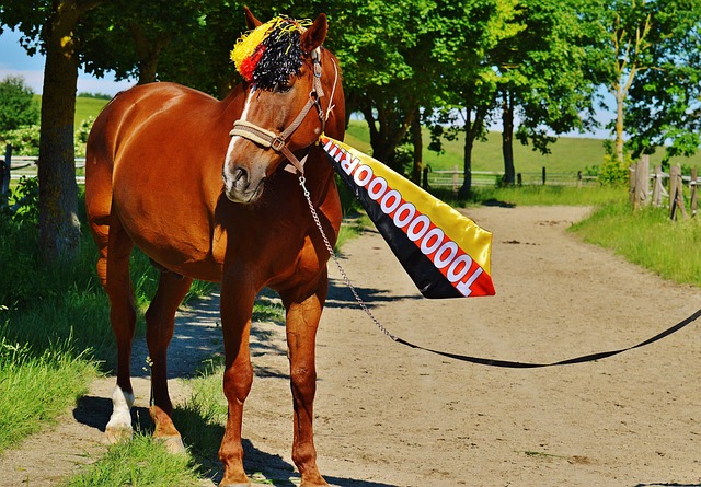 们为一位患 们为一位患