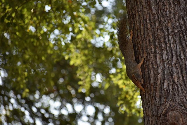 即提升球队 即提升球队