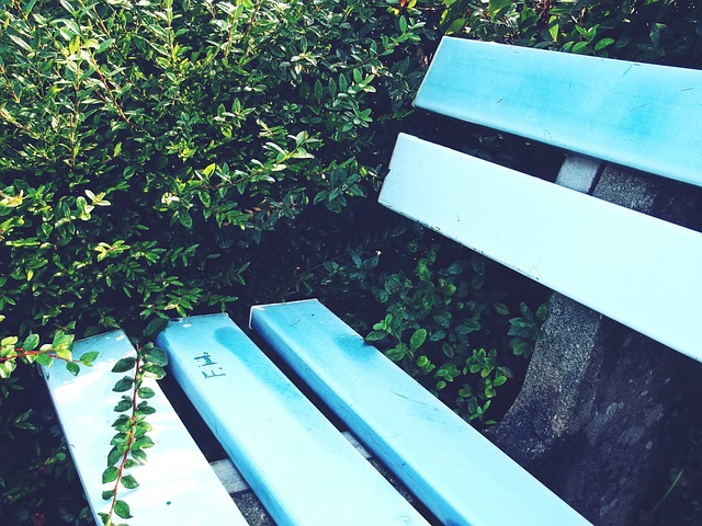 職業生涯之 職業生涯之