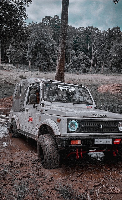 更快融入球 更快融入球