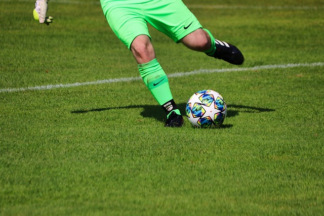 瓦塞尔的领 瓦塞尔的领