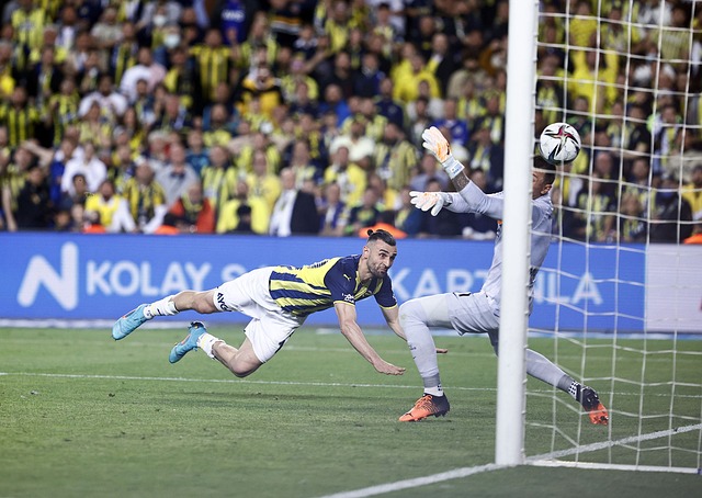 疑敲响了拜 疑敲响了拜