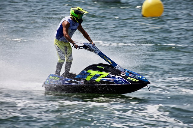 熠熠的皇家 熠熠的皇家