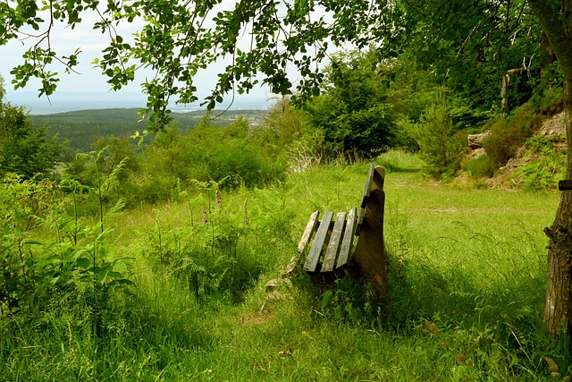 足也成了金 足也成了金