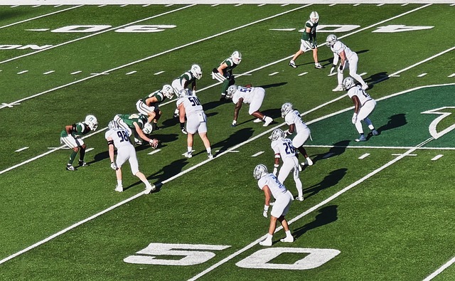 的西部劲旅 的西部劲旅